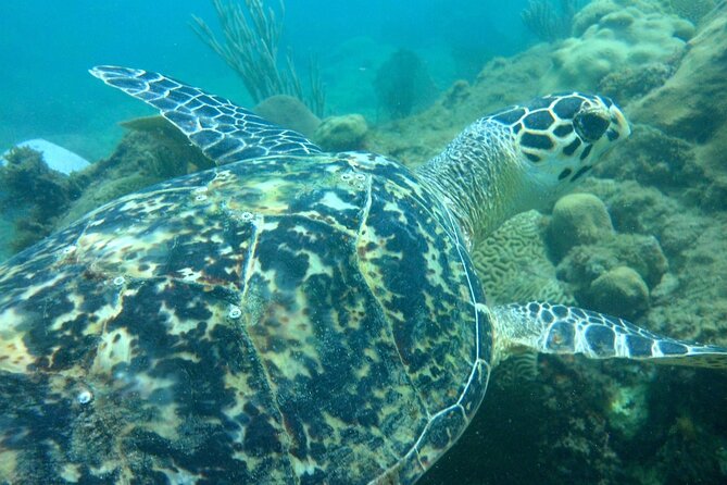 Rincon Snorkeling Adventure - Meeting in central Rincon before the water