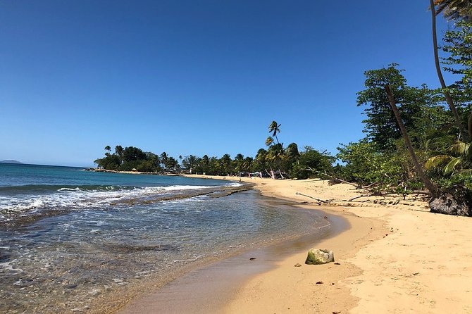 Rincon Snorkeling Adventure - What beginners should expect in the water