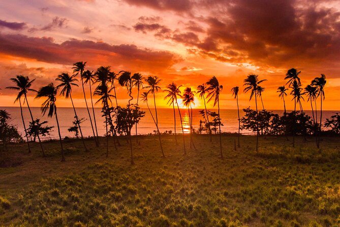 Rincon Tour Sunset & Nightlife Experience - Key points to know before booking