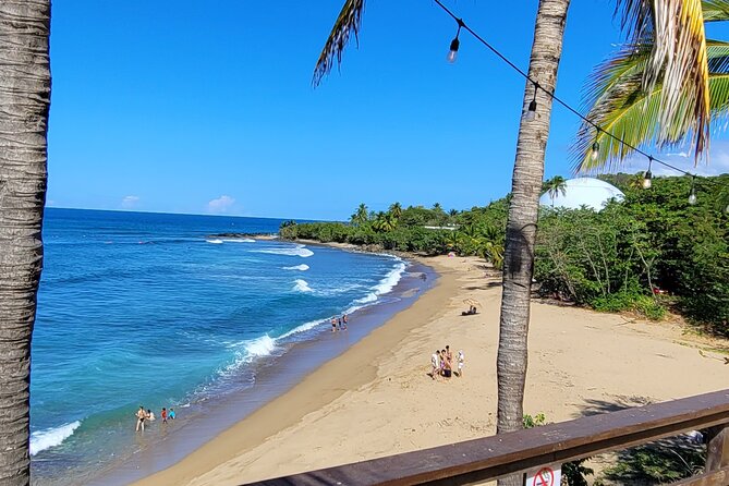 Rincon Tour Sunset & Nightlife Experience - Why this Rincón evening tour works