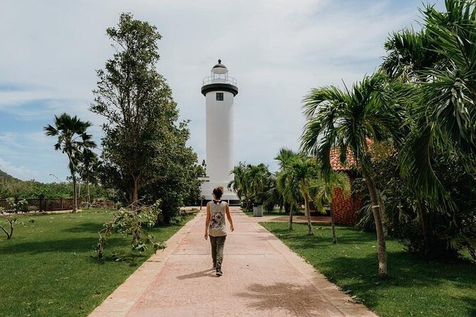 Rincon Tour Sunset & Nightlife Experience - Who will enjoy this evening most
