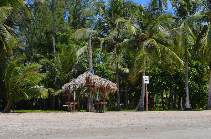 Rio grande & Luquillo Jet Ski Tour - Is $160 per person a fair price?