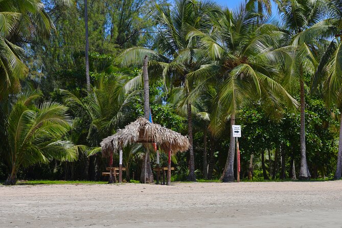Rio grande & Luquillo Jet Ski Tour - Starting at Palmer near Río Grande