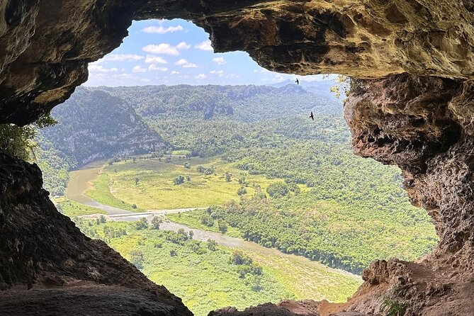 Rio Tanama City Tour with Car Transportation - Cueva Ventana and the forest trail