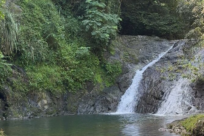 Salto de Pilar Cliff Jumping Tour - The moderate trail into Salto de Pilar