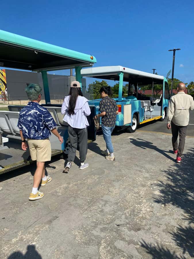 San Juan: Bacardi Rum Distillery and Old San Juan Combo Tour - Why this Old San Juan and Bacardi pairing works