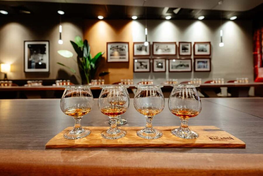 San Juan: Casa Bacardi Distillery Tour - The Bacardi Pavilion and Your First Cocktail