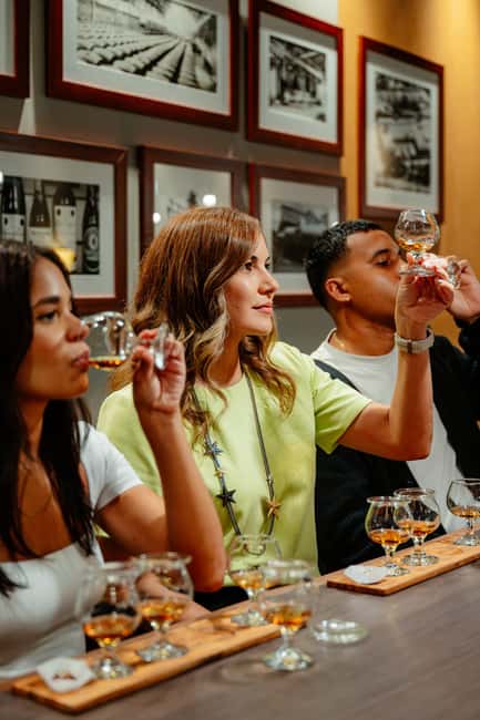 San Juan: Casa Bacardi Distillery Tour - The Trolley Ride Around the Grounds