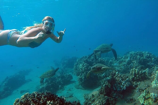 San Juan Guided Snorkel With Turtles Tour and Videos - Key things to know before you book