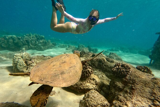 San Juan Guided Snorkel With Turtles Tour and Videos - The safety briefing sets the tone