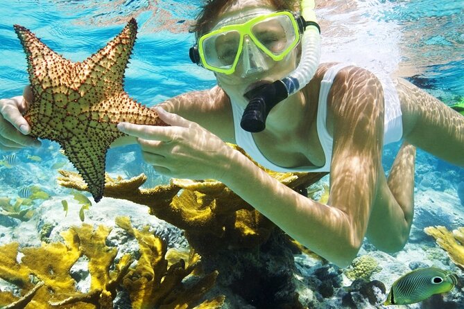 San Juan Guided Snorkeling Experience - With Transport 8am or 3pm - Key Points Before You Book