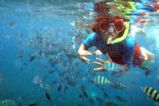 San Juan Guided Snorkeling Experience - With Transport 8am or 3pm - About 90 Minutes Exploring the Caribbean Water