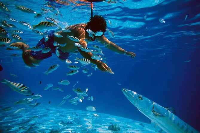 San Juan Guided Snorkeling Experience - With Transport 8am or 3pm - The Guide Can Make or Break the Day