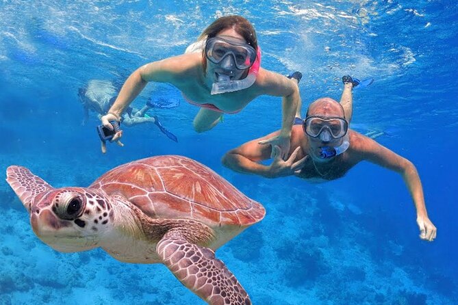 San Juan Guided Snorkeling Experience - With Transport 8am or 3pm - Is $89 a Fair Price?
