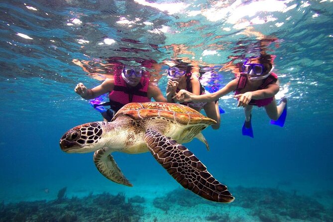 San Juan Guided Snorkeling Experience - With Transport 8am or 3pm - Arriving at El Escambrón Beach
