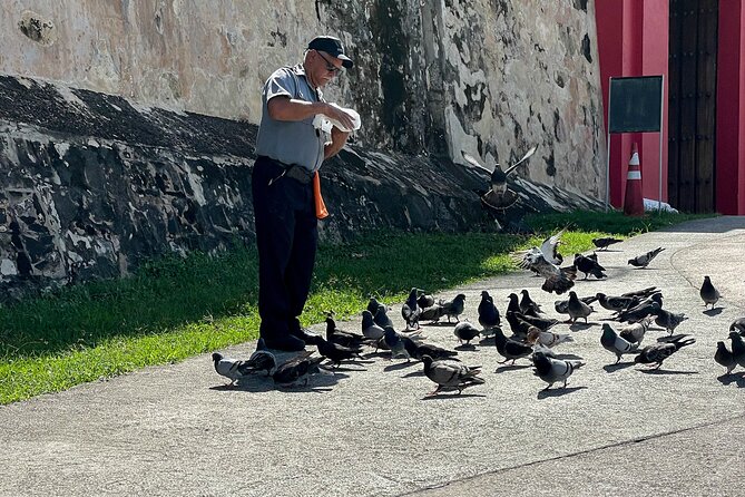 San Juan Highlights Private Guided Tour - Condado Beach and the modern coastal city