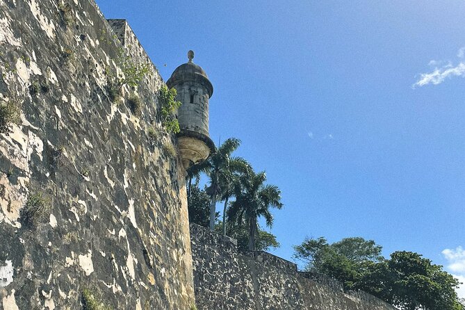 San Juan Highlights Private Guided Tour - Piñones, seafood, palms, and local beach life