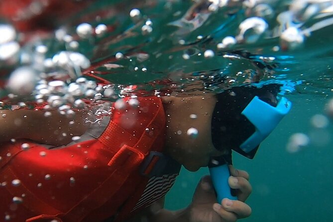 San Juan: Kids and Family Snorkeling Adventure with Videos - A shore-based snorkeling trip, not a boat excursion