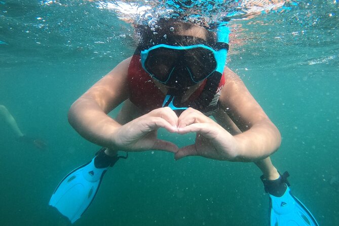 San Juan: Kids and Family Snorkeling Adventure with Videos - The guides are the strongest part of the experience