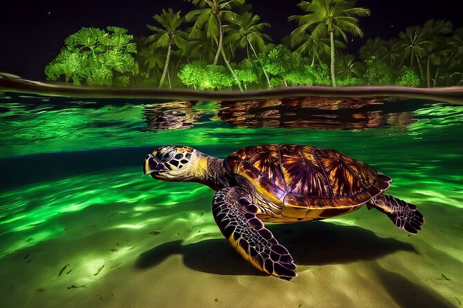 San Juan LED Night Snorkel - Key Points Before You Book