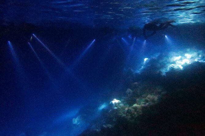 San Juan LED Night Snorkel - What Makes Night Snorkeling in San Juan Different