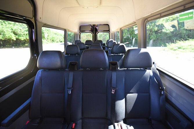 San Juan Luxury Private Round-Trip Transfer: SJU Airport - Cruise Pier - Hotel - The ride to Isla Verde, Condado, or Old San Juan