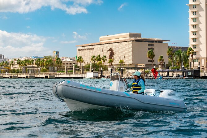 San Juan Mini Boat Tour - Starting at San Juan Bay Marina