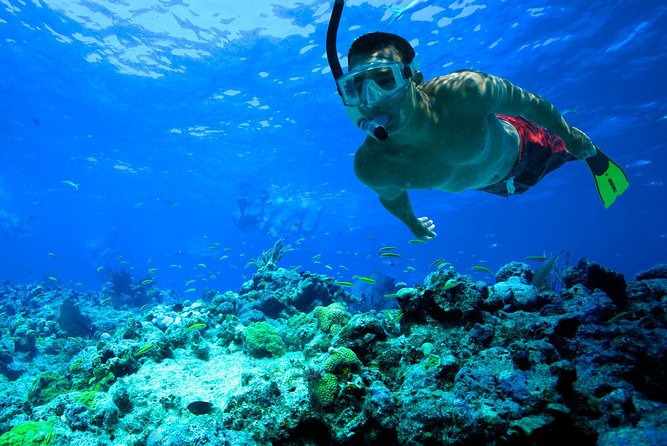 San Juan | Paddleboard | Kayak | Snorkeling | Guided Tours - Quick points to know