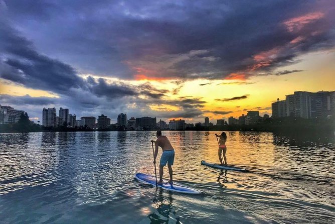 San Juan | Paddleboard | Kayak | Snorkeling | Guided Tours - Paddling through the San Juan Estuary