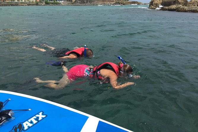 San Juan | Paddleboard | Kayak | Snorkeling | Guided Tours - Snorkeling, swimming, and the wildlife factor