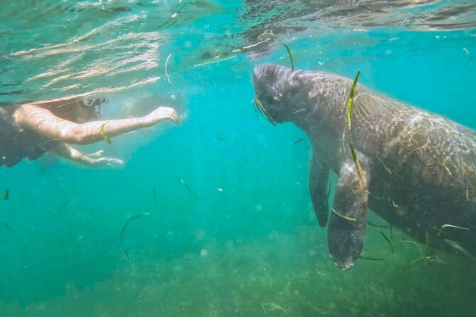 San Juan Snorkel with Turtles and Manatee's; Free Video and Rum! - Key points to know before you book