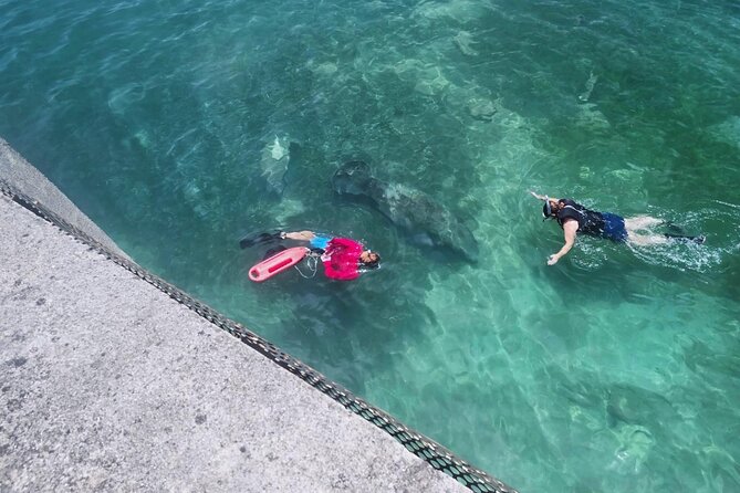 San Juan Snorkel with Turtles and Manatee's; Free Video and Rum! - Fitting masks, fins, and life jackets