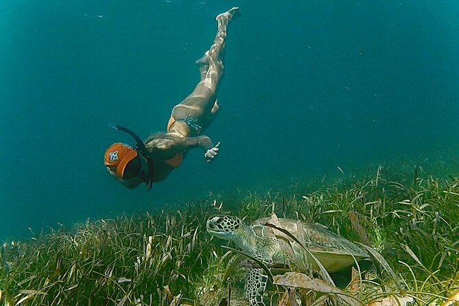 San Juan Snorkel with Turtles and Manatee's; Free Video and Rum! - A wildlife video and a small rum tasting