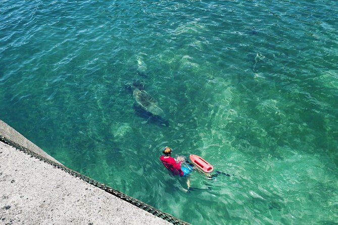 San Juan Snorkel with Turtles and Manatee's; Free Video and Rum! - Is $82 a fair price?