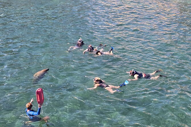 San Juan Snorkel with Turtles and Manatee's; Free Video and Rum! - Swimming into the Condado marine area