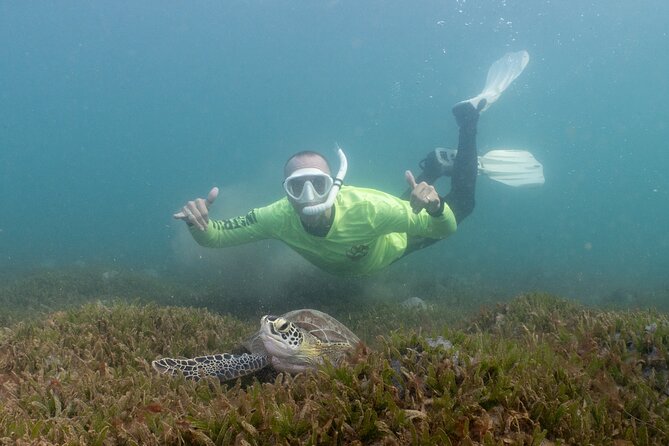 San Juan Snorkeling Tour with Fish and Turtles - What the $67 price gets you at Escambrón
