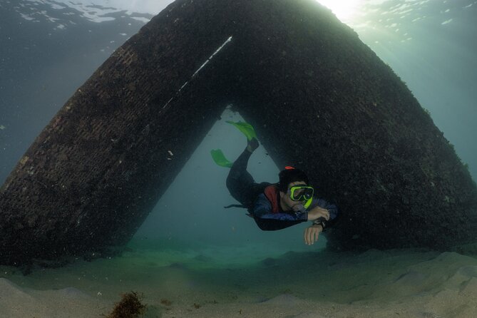 San Juan Snorkeling Tour with Fish and Turtles - Morning or afternoon: choosing your session