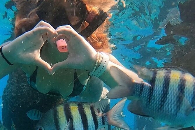 San Juan: Snorkeling with Turtles Adventure and Free Videos - Fish, coral, and smaller creatures in the bay