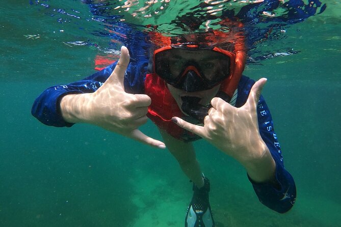 San Juan: Snorkeling with Turtles Adventure and Free Videos - How beginner-friendly is the instruction?