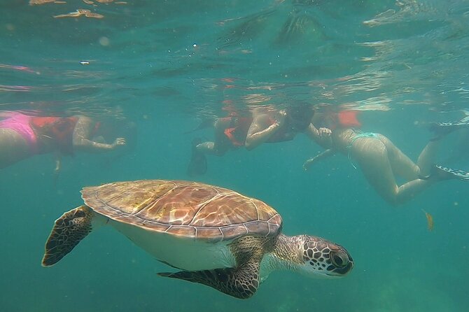San Juan: Snorkeling with Turtles Adventure and Free Videos - Timing, parking, and what to bring