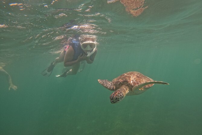 San Juan Turtle Spotting Snorkel Adventure with Videos - Why El Escambrón works for a short snorkeling trip
