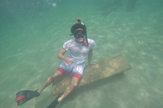 San Juan Turtle Spotting Snorkel Adventure with Videos - The one-hour swim: turtles, fish, and patient searching