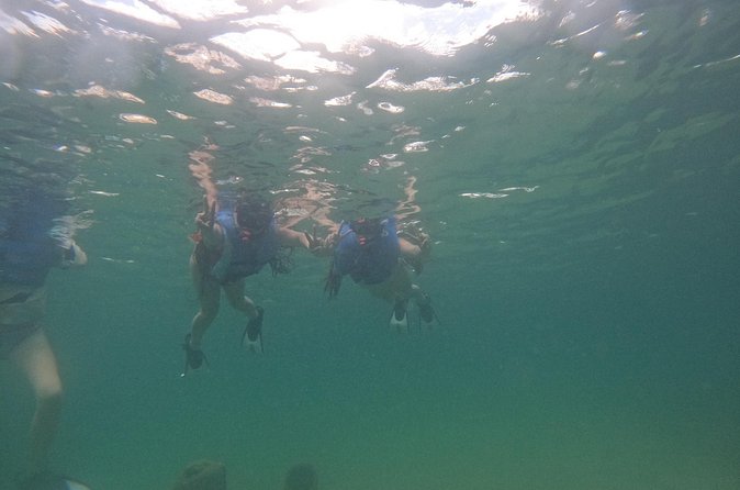 San Juan Turtle Spotting Snorkel Adventure with Videos - Weather, visibility, and the wildlife gamble