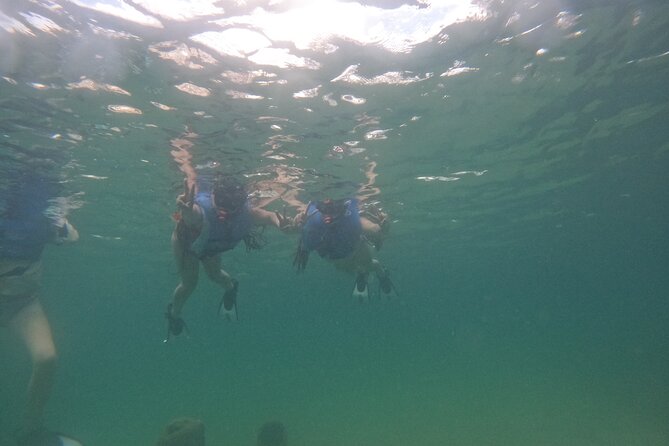 San Juan Turtle Spotting Snorkel Adventure with Videos - The guides are a major part of the experience