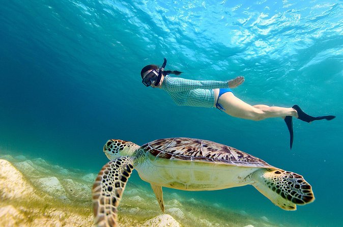 San Juan Turtle Spotting Snorkel Adventure with Videos - Who should book this snorkeling tour?
