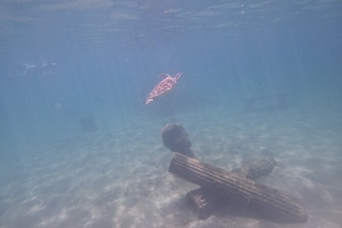San Juan Turtle Spotting Snorkel Adventure with Videos - What happens before you enter the water