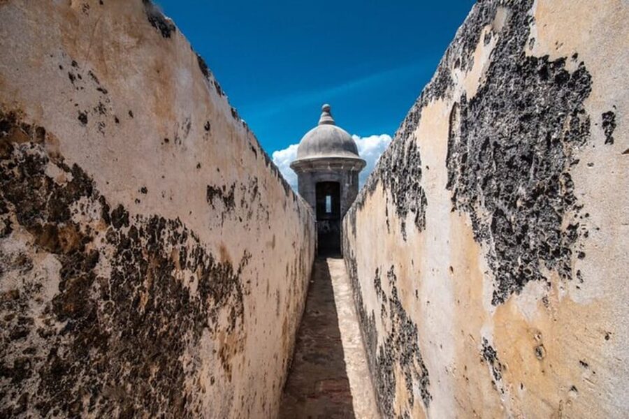 San Juan: Walking Tour with Expert Guide - What the $65 price gets you
