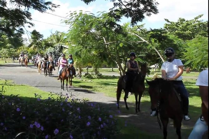 Scenic Horseback Riding Tour from San Juan - What the scenery feels like on the trail