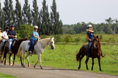 Scenic Horseback Riding Tour from San Juan