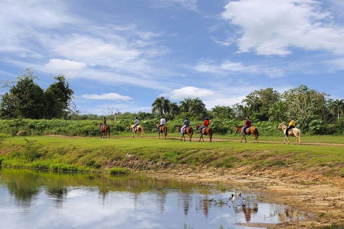 Scenic Horseback Riding Tour from San Juan - Guides can make or break the ride